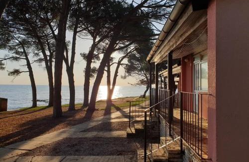 Novigrad Resort | Family Bungalow Pineta
