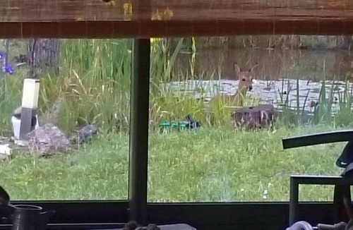 Gilhac-et-Bruzac Apartment | Family-friendly, absolute tranquillity, fantastic view, pets allowed