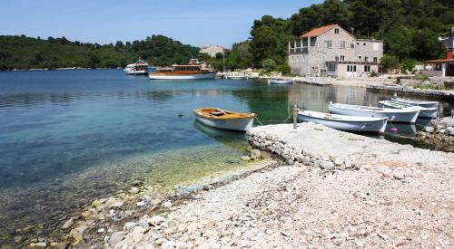 Pomena Apartment | Family-friendly apartments with swimming pool Pomena, Mljet - 22317