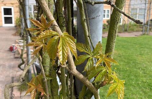 Frederiksberg Condo | Family-friendly Flat at the Foot of The Bird Hill