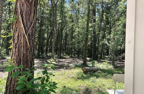 Cleveland Cabin | Family friendly dual-cabin in Sam Houston National Forest