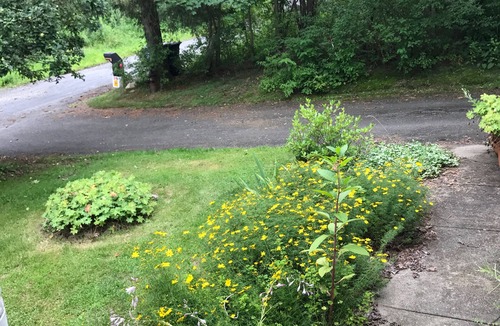 Craryville House | Family friendly. In nature & all things Berkshire. Equidistant Hudson/GtBarr,MA