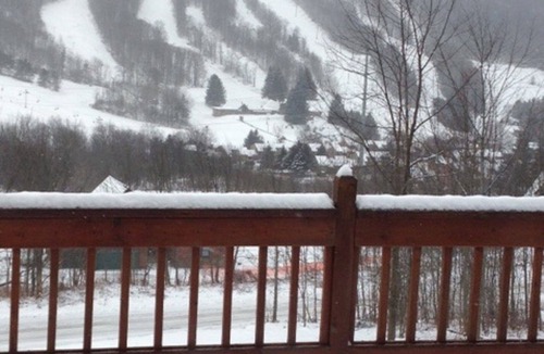 Blodgett Mills House | Family Friendly Log House At Greek Peak Mountain Resort
