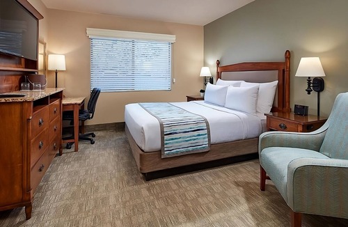 Coronado Hotel | Family Fun at SeaWorld San Diego | Outdoor Heated Pool | Parking!