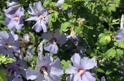 Agonac House | FAMILY GITE