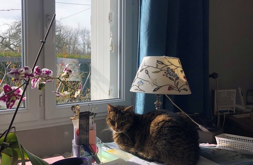 Blainville-sur-Mer House | FAMILY HOME BETWEEN SEA AND COUNTRYSIDE