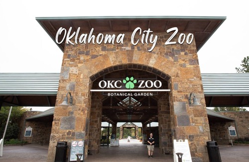 Central Oklahoma City House | Family Home w/Pool-Hot Tub-Large Yard-Pool Table & Rainshower
