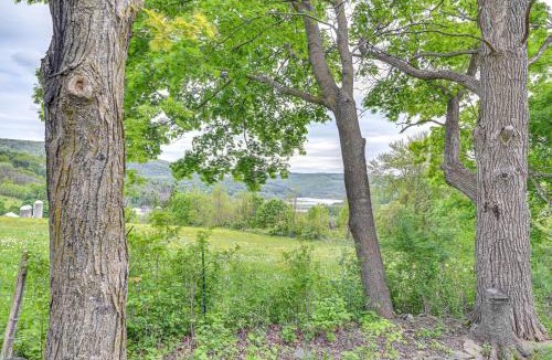 Town of Broome House | Family Home w/Yard & Fire Pit in Middleburgh!