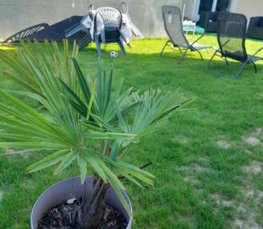 Beauvais House | Family House