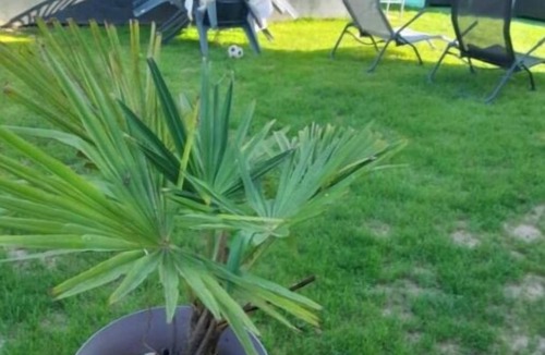 Beauvais House | Family House