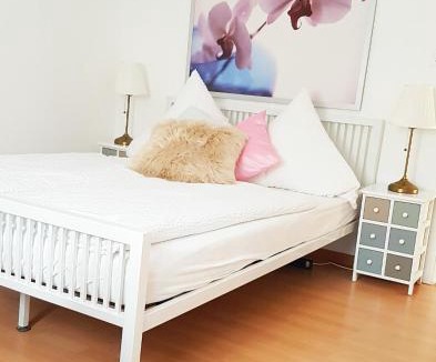 Buchs Apartment | Family Mountain View - Upper Alley