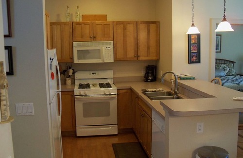 Bellaire Condo | Family Retreat at Cedar River