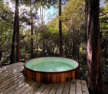 Wainui Ski Chalet | Fantail Bush Chalet