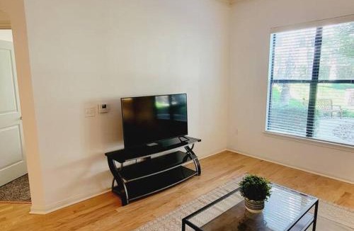 Braeswood Place Apartment | Fantastic 1-Bedroom Close to Reliant Stadium & Medical Center