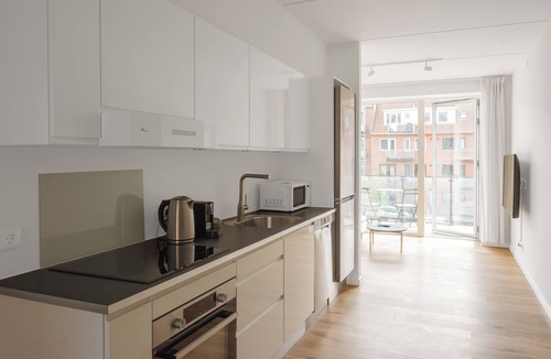 Odense Apartment | Fantastic 2-BR apartment with Balcony - 390