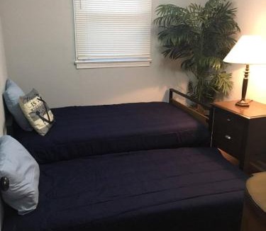 Norfolk House | Fantastic 3BR Close to Botanical Gardens and Airport