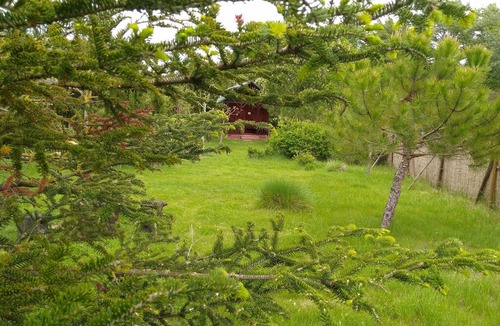 Villahermosa del Rio Cabin | Fantastic cabin for 3 people in the middle of nature