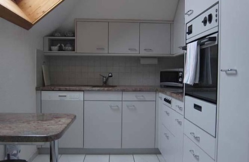 Kastanienbaum Apartment | Fantastic view of Lake Lucerne