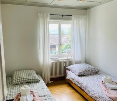 Meilen District Apartment | Fantastically beautiful old building apartment with lake view