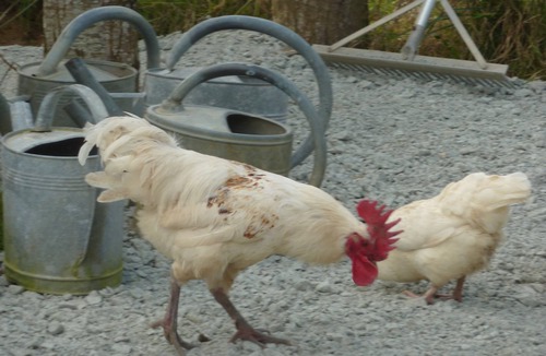 Hardanges House | Farm Bohemian trailer