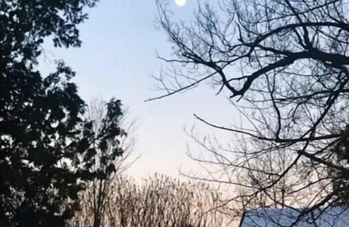 Meredith Cabin | Farm Stay in Catskills Farmhouse Suite