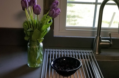 Brownsville House | Farm Stay!