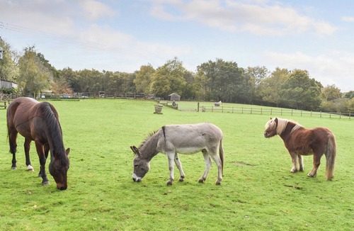 Churt Cottage | Farmhouse Garden Shepherds Hut