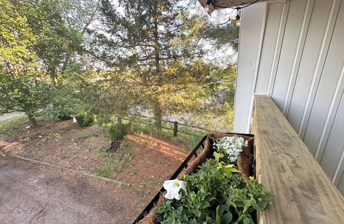 Creal Springs House | Farmhouse Loft with pond + pasture views in Creal Springs