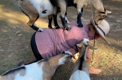 Tallahassee RV Rental | Farmstay- SMALL RV primitive site