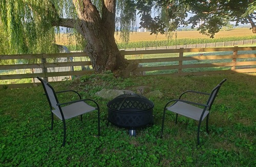 Bainbridge Cabin | Farmstay with pool and firepit