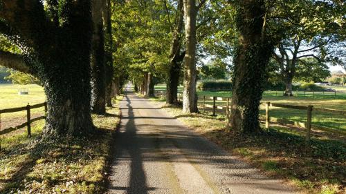 Farnham Hotel | Farnham House Hotel