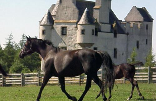 Musselburgh Bed & Breakfast | Faside Estate