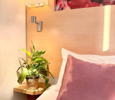 Sud Loire Hotel | Fasthotel Orleans Zénith
