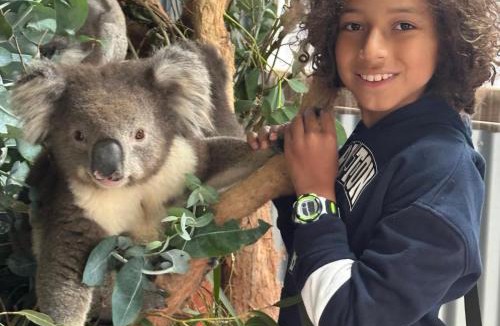 Lavers Hill House | Fauna Australia Wildlife Experience