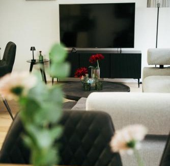 Emmetten Apartment | Feel Home Apartments 501 - 502 - Seeblick - Bergblick - Balkon - kostenloser Parkplatz