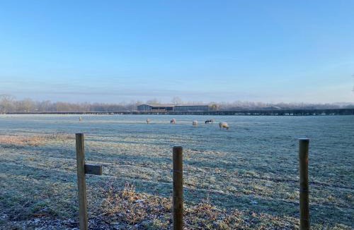 Leicester House | Felicity's House with Hot Tub!