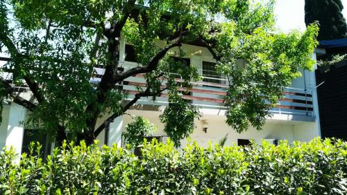 Biograd na Moru Apartment | Felix Apartment Biograd