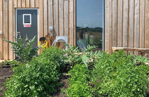 Templecombe Cottage | Feltham's Cottage - UK42324