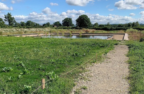 Templecombe Cottage | Feltham's Cottage - UK42324