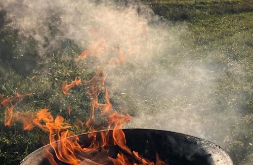 Cambridge Other | Fen Meadows