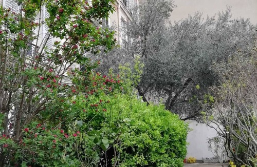 Neuilly-sur-Seine Apartment | Fenetre sur Cour en Face de L'olivier