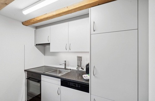 Wildhaus Apartment | FENUS Gemütlich | Bergblick | Küche | SGT08