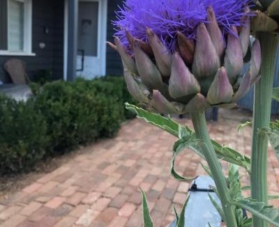 Heathcote Apartment | Fergusons Store