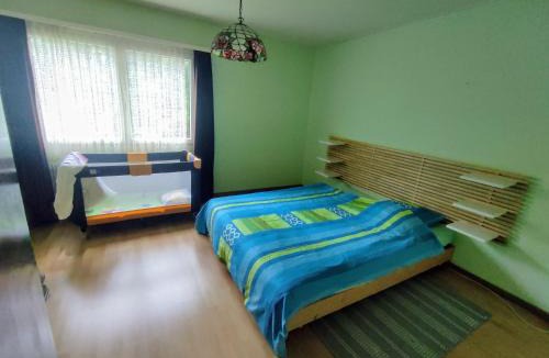 Lungern Apartment | Ferienhaus Bärschwendi
