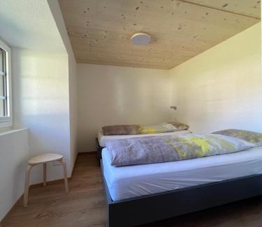 Saas Grund Apartment | Ferienhaus Capricorn *