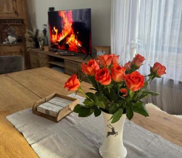 Engadin Scoul Apartment | Ferienhaus Meis Chalet mit Bergblick