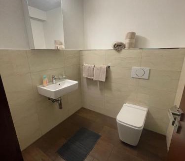 Wassen Apartment | Ferienregion Andermatt - Studio in Wassen