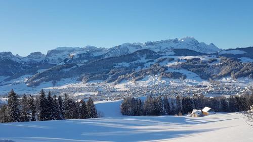 Meistersrute Ski Chalet | Ferienstudio Familie Fässler-Dörig