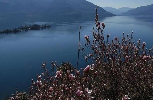 Porto Ronco Apartment | Ferienwohnung/app. für 3 Gäste mit 60m² in Ronco S/ascona