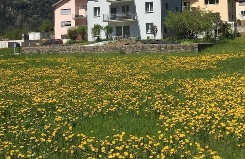 Li Curt Apartment | Ferienwohnung/app. für 2 Gäste mit 50m² in Poschiavo